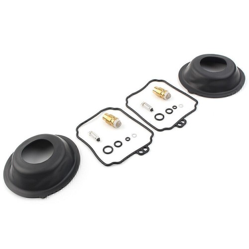 Carburetor rebuild kit - carburetor, plunger