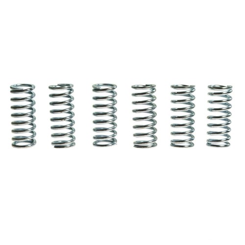Clutch spring kit trw - spring, 6